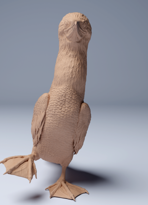 Fou à pieds bleus courant par Animal den miniatures