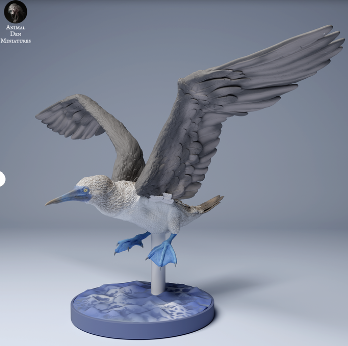 Fou à pieds bleus volant par animal den miniatures