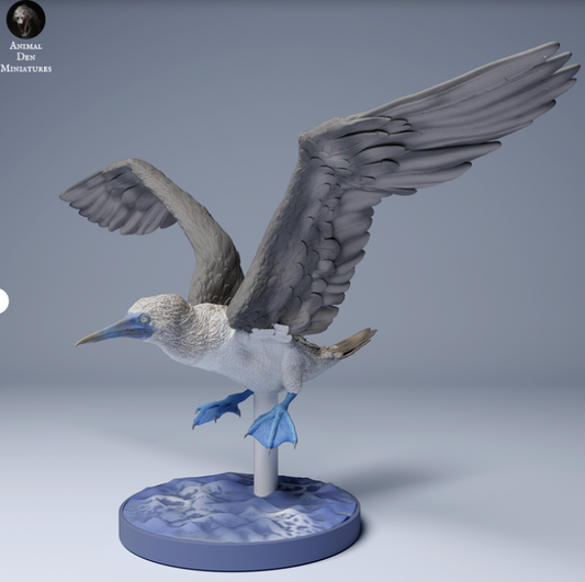 Fou à pieds bleus volant par animal den miniatures