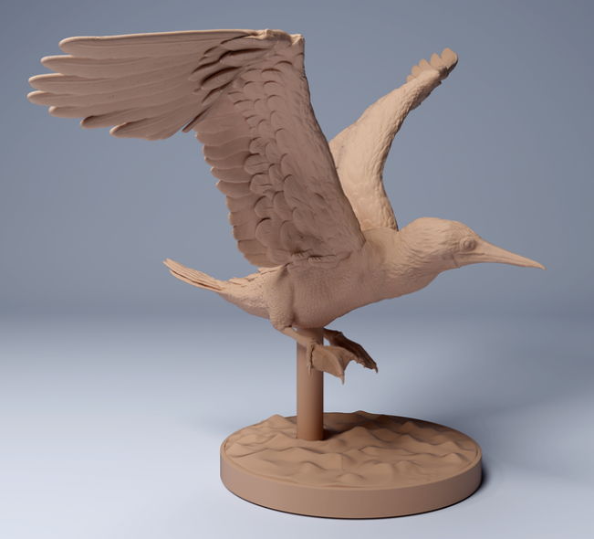 Fou à pieds bleus volant par animal den miniatures