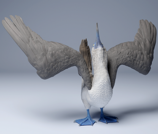 Fou à pieds bleus dansant par Animal den Miniatures