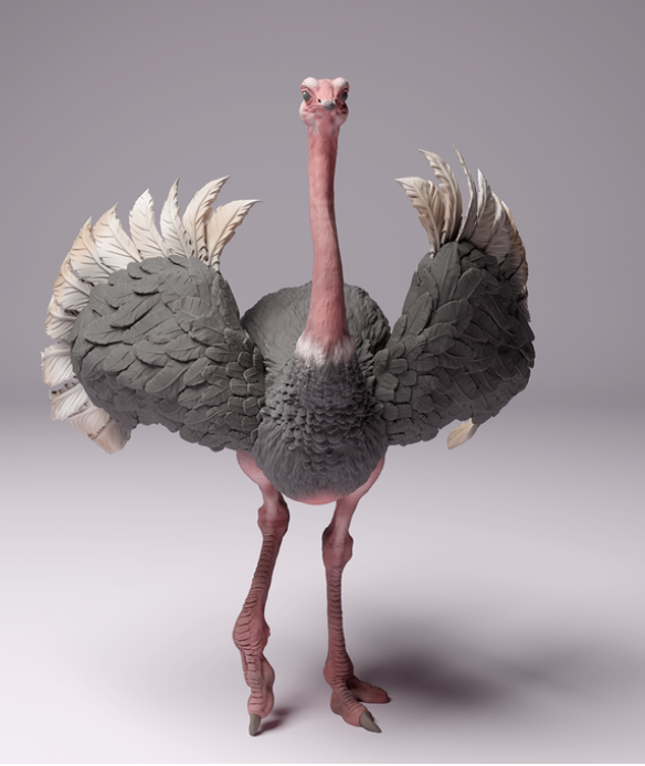 Autruche d'Afrique du Nord mâle par Animal den miniatures