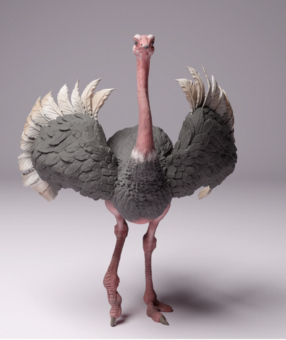 Autruche d'Afrique du Nord mâle par Animal den miniatures