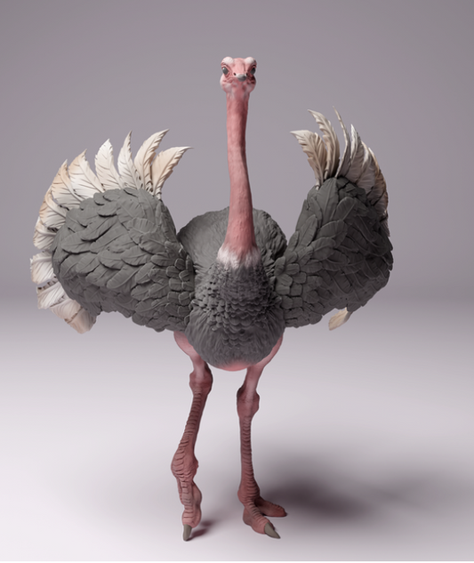 Autruche d'Afrique du Nord mâle par Animal den miniatures