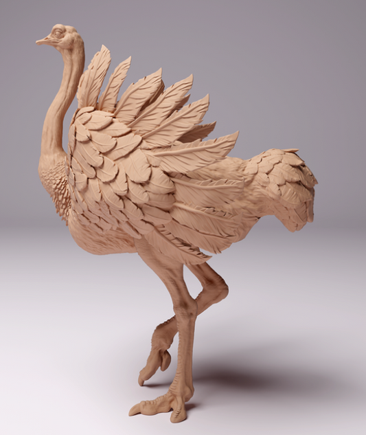 Autruche d'Afrique du Nord mâle par Animal den miniatures