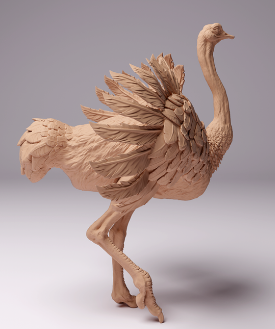 Autruche d'Afrique du Nord mâle par Animal den miniatures