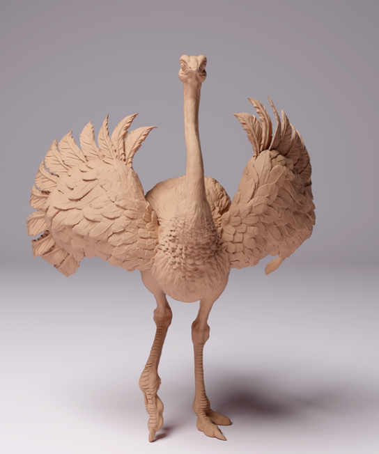 Autruche d'Afrique du Nord mâle par Animal den miniatures