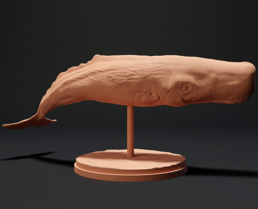 Cachalot d'Animal den miniatures