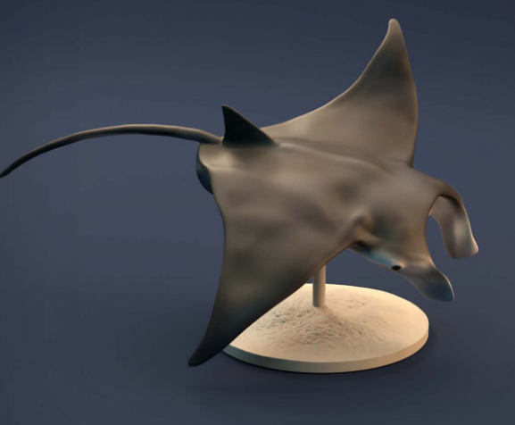 Raie Manta d'Animal Den Miniatures