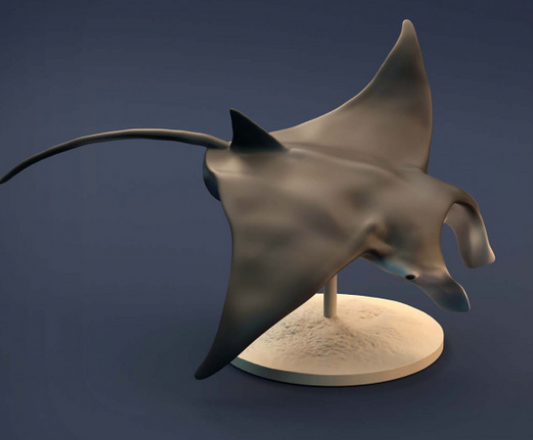 Raie Manta d'Animal Den Miniatures