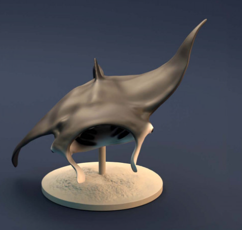 Raie Manta d'Animal Den Miniatures
