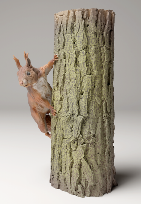 Rotes Eichhörnchen an einem Baum von Animal den miniatures