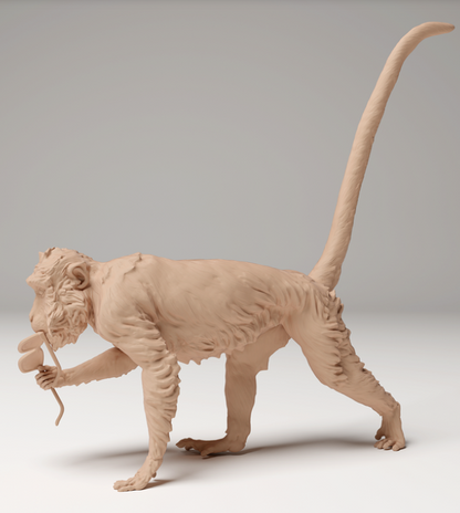 Un singe vole des lunettes à Animal les miniatures