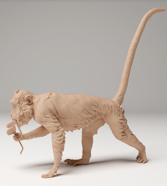 Un singe vole des lunettes à Animal les miniatures