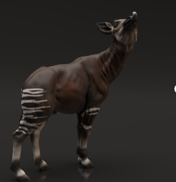 Okapi d'Animal the Miniatures