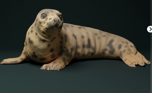 Phoque femelle / Miniatures de tanière d'animaux