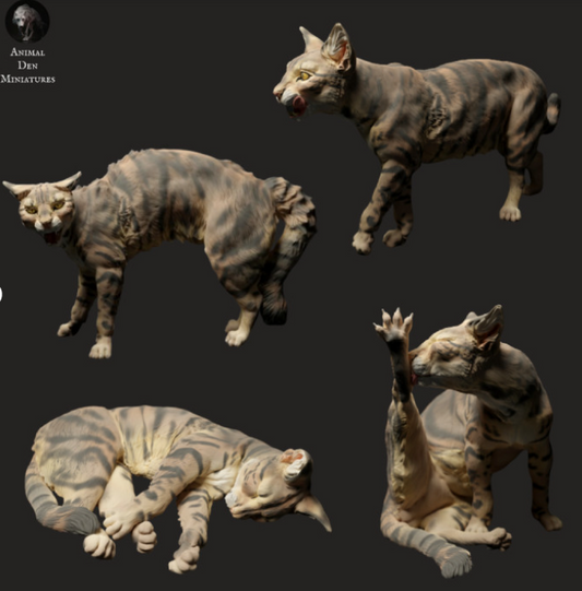 Domesticated cats as a set of 4 from animal den miniatures