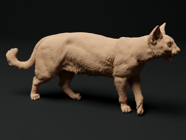 Chats domestiques en lot de 4 à partir de miniatures de tanière d'animaux