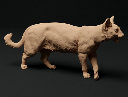 Chats domestiques en lot de 4 à partir de miniatures de tanière d'animaux