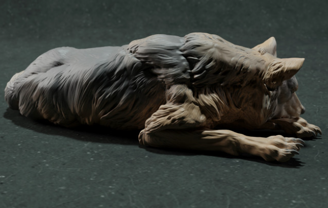 Schlafender Iberischer Wolf  von Animal den miniatures