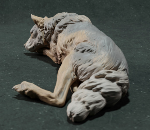 Schlafender Iberischer Wolf  von Animal den miniatures