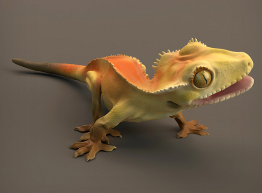 Gecko de Animal den miniatures