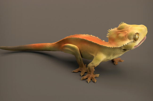 Gecko de Animal den miniatures