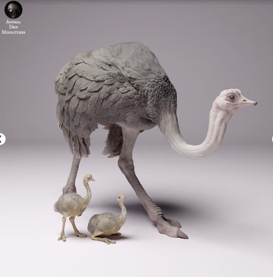 Autruche d'Afrique du Nord avec ses poussins par Animal den miniatures