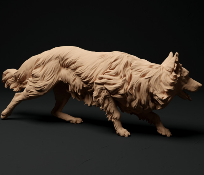 Border Collie furtif par Animal den miniatures