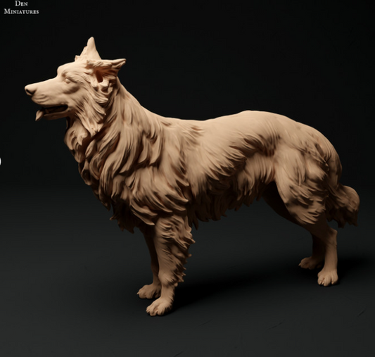 Border Collie debout par Animal den miniatures