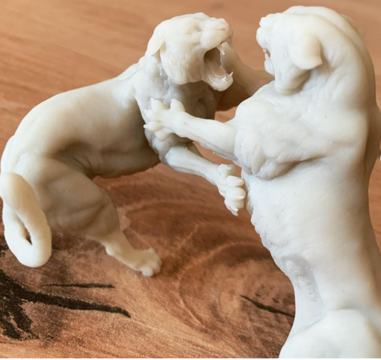 Combats de tigres du Bengale par Animal den miniatures