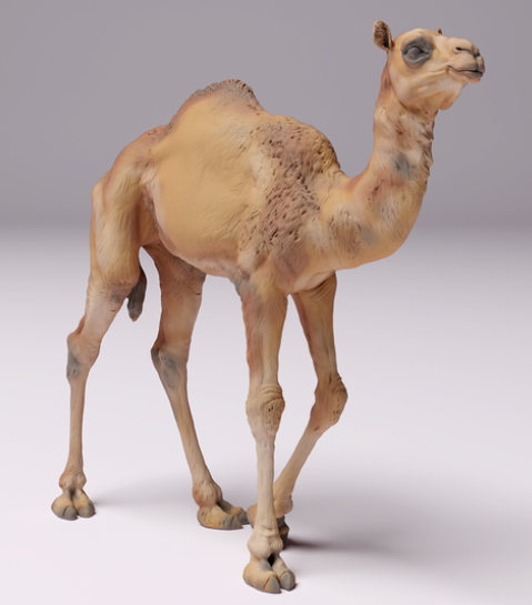 Veau dromadaire d'Animal den miniatures