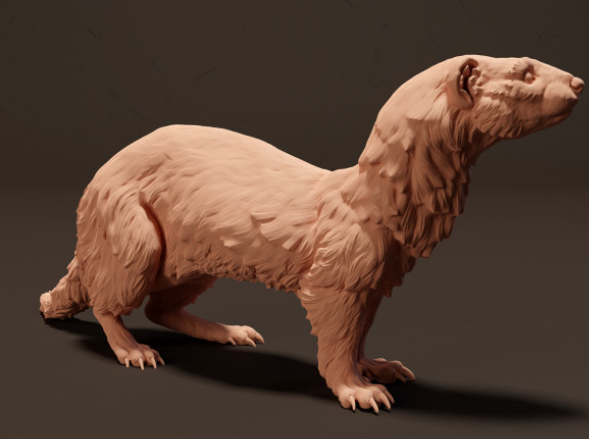 Frettchen  von Animal den miniatures