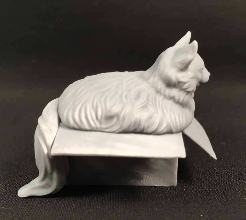 Dicke Katze im Karton von AnimalsAndCreaturesMinis