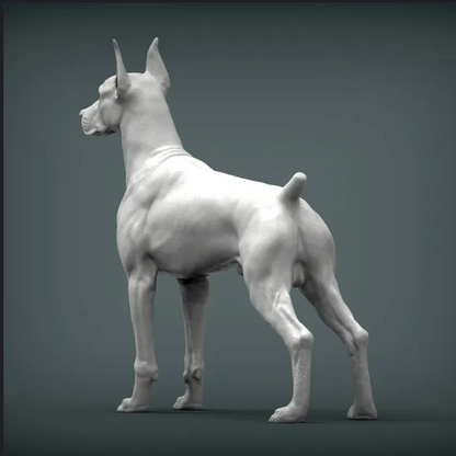 Doberman from Azukmenko