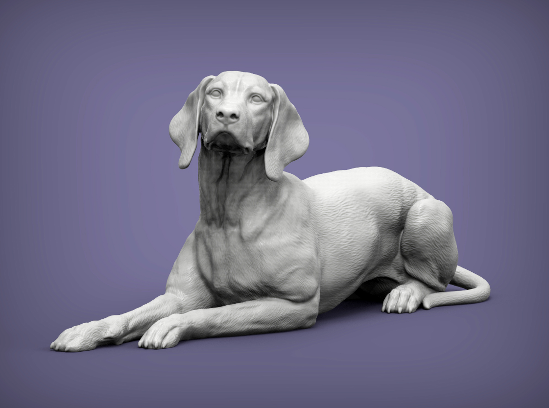 Ungarischer Vorstehhund von Azukmenko