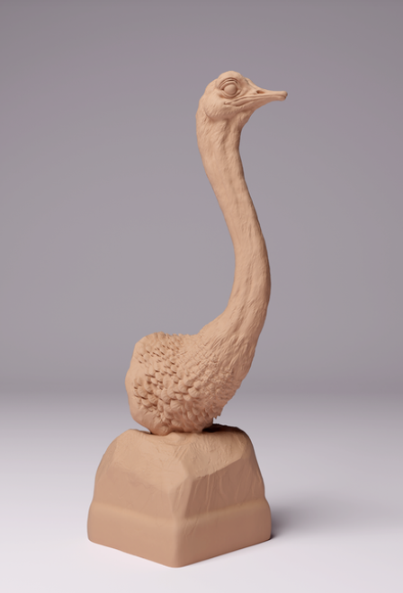 Buste d'autruche africaine par Animal den miniatures