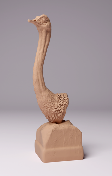 Buste d'autruche africaine par Animal den miniatures