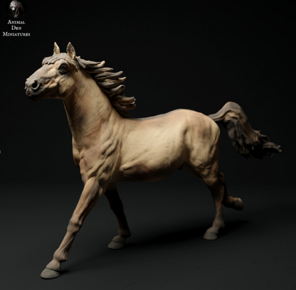 Racing Konik stallion by Animal den miniatures