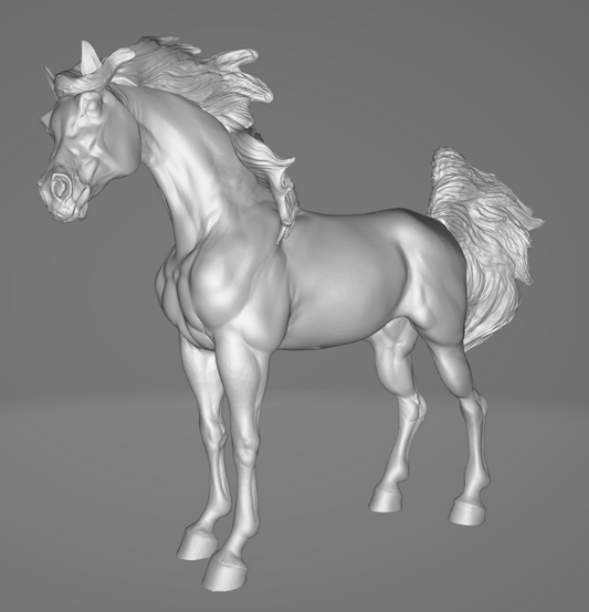 Arabian Spirit par Printed Ponies