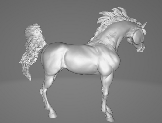 Arabian Spirit par Printed Ponies