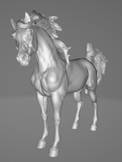 Arabian Spirit par Printed Ponies