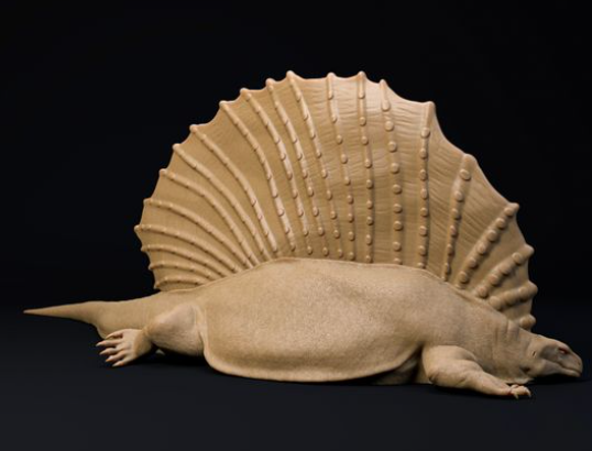 Edaphosaurus von Dion and Dog