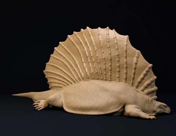 Edaphosaurus von Dion and Dog