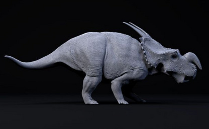 Einiosaurus par Dion et Dog