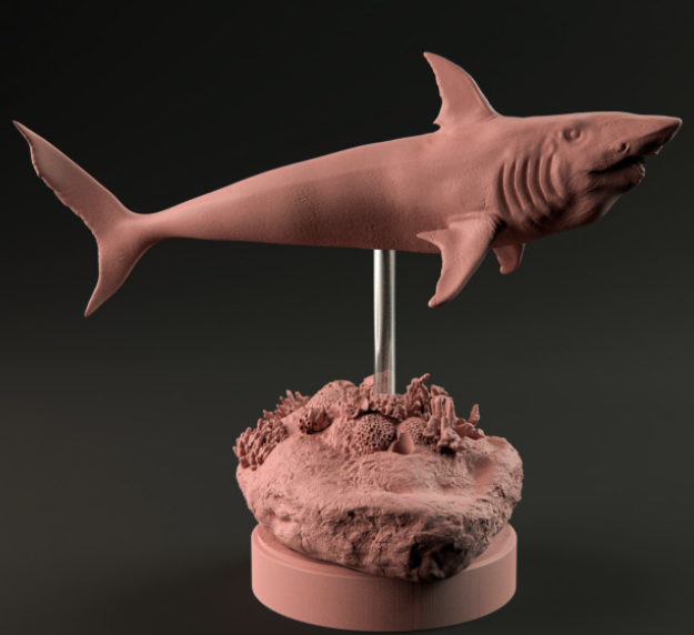 Helicoprion de Dion et Dog