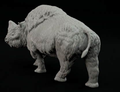 Elasmotherium par Dion et Dog