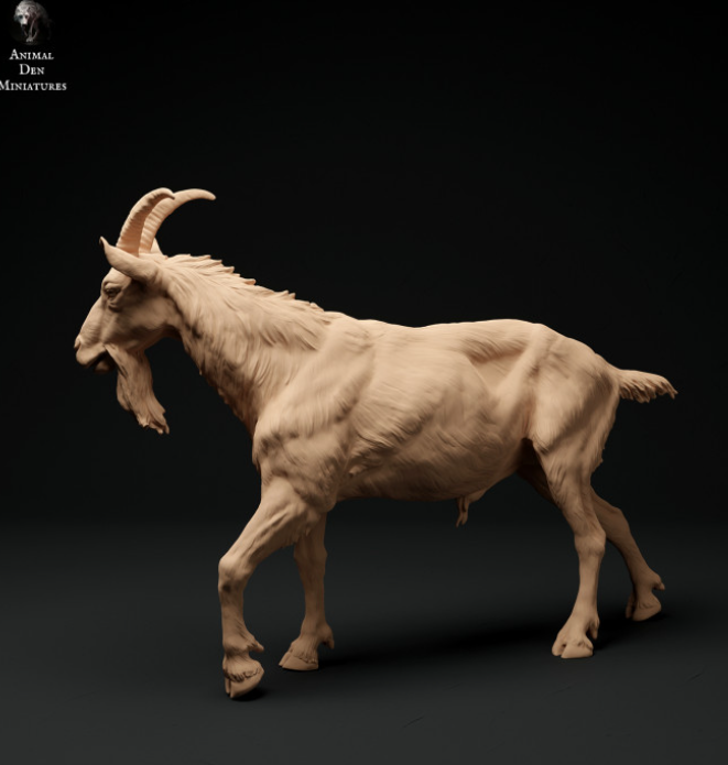 Ziegenbock Nr.1 von Animal den miniatures