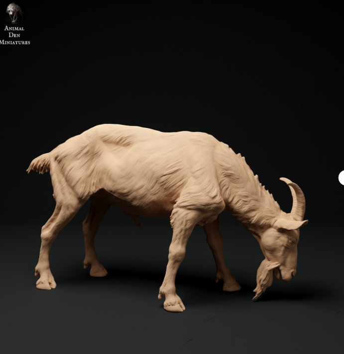 Ziegenbock NR.3 von Animal den miniatures