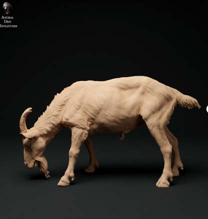 Chèvre n° 3 de Animal den miniatures